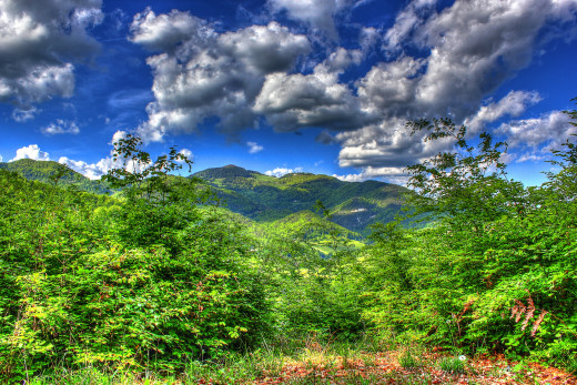677665 (a): :1920x1280